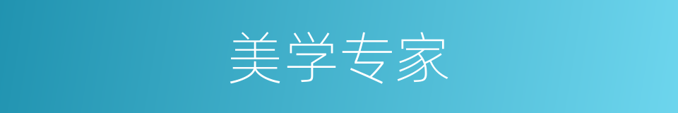 美学专家的同义词