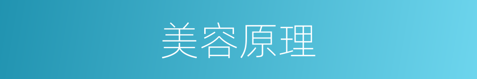 美容原理的同义词