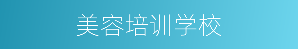 美容培训学校的同义词