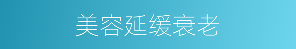 美容延缓衰老的同义词