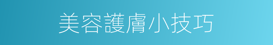 美容護膚小技巧的同義詞