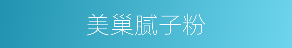 美巢腻子粉的同义词