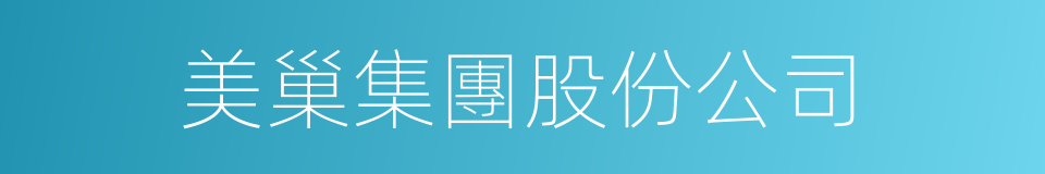 美巢集團股份公司的同義詞