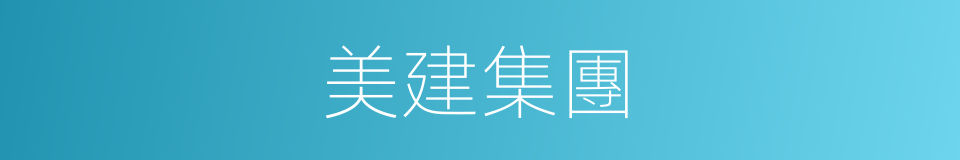 美建集團的同義詞