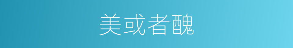 美或者醜的同義詞