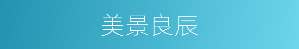 美景良辰的意思