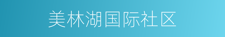 美林湖国际社区的同义词