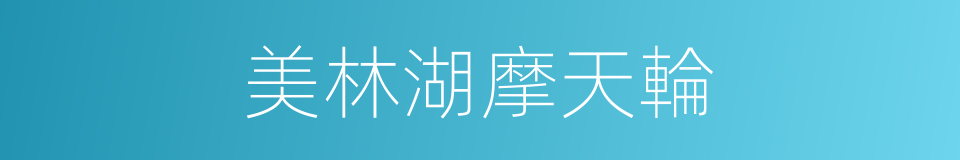 美林湖摩天輪的同義詞