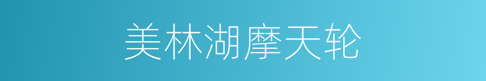 美林湖摩天轮的同义词