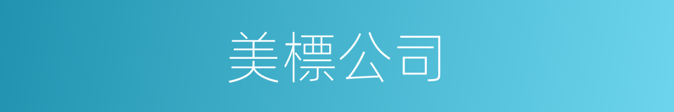 美標公司的同義詞