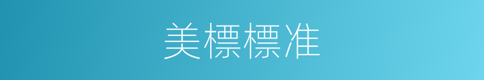 美標標准的同義詞