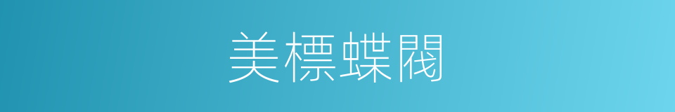 美標蝶閥的同義詞