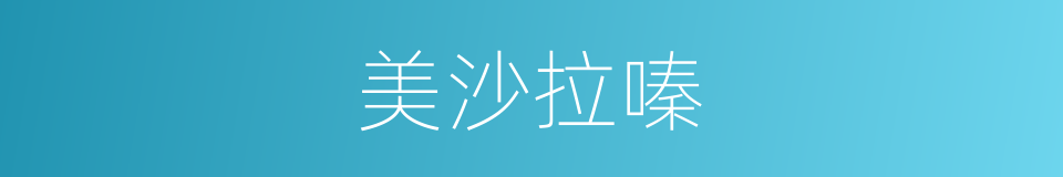 美沙拉嗪的同义词