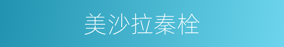 美沙拉秦栓的同义词