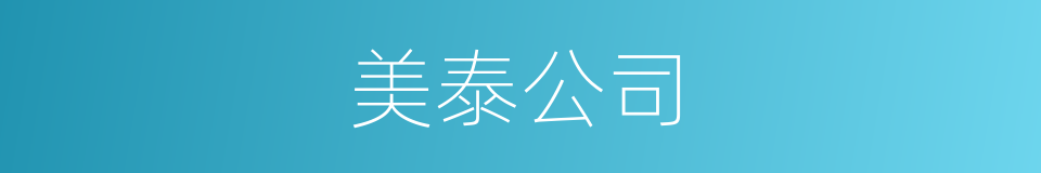 美泰公司的同义词