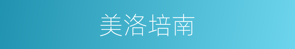 美洛培南的同义词