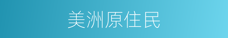 美洲原住民的同义词