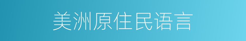 美洲原住民语言的同义词