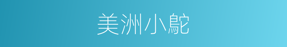 美洲小鴕的同義詞