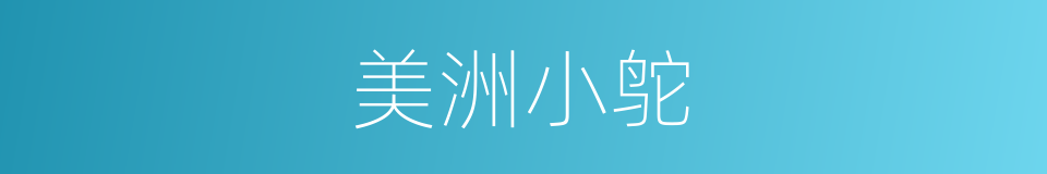 美洲小鸵的同义词