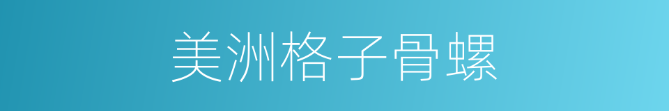 美洲格子骨螺的同义词