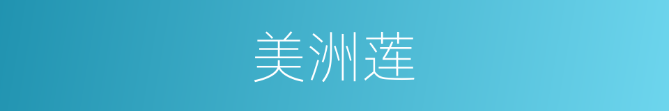 美洲莲的同义词