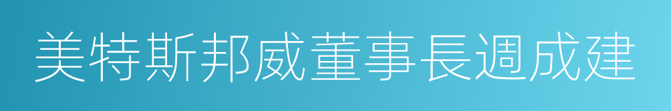 美特斯邦威董事長週成建的同義詞