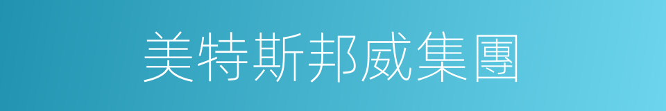 美特斯邦威集團的同義詞