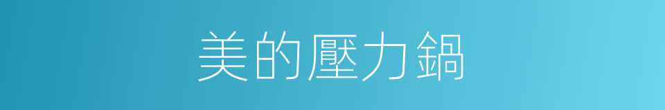 美的壓力鍋的同義詞