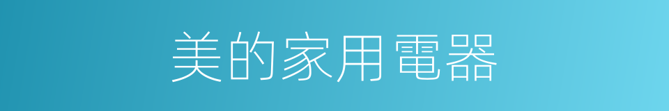 美的家用電器的同義詞
