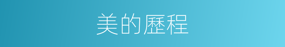美的歷程的同義詞