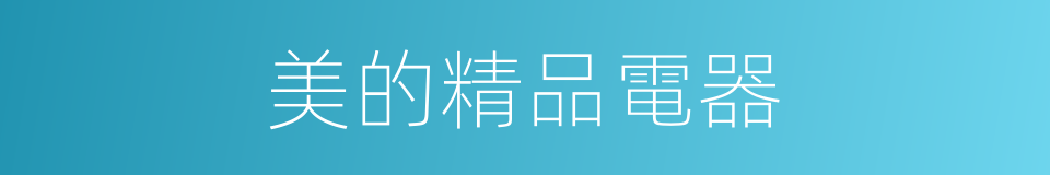 美的精品電器的同義詞