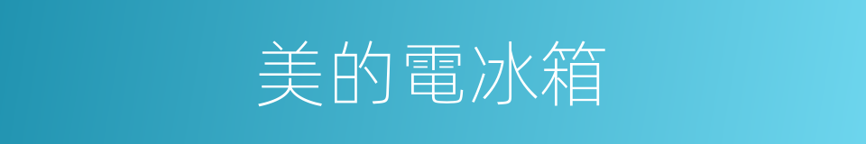 美的電冰箱的同義詞