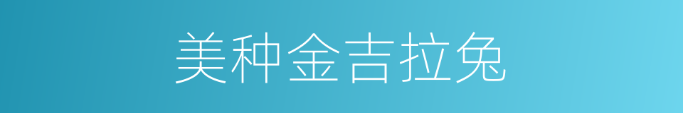 美种金吉拉兔的同义词