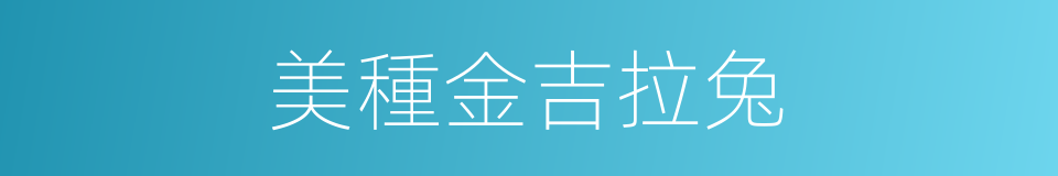 美種金吉拉兔的同義詞