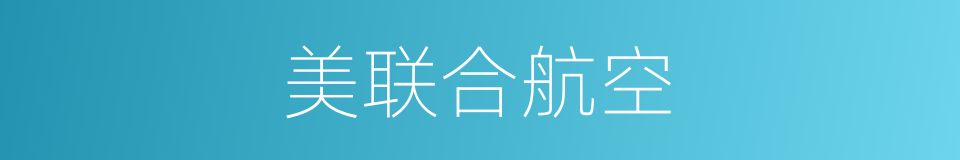 美联合航空的同义词