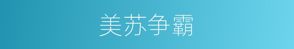 美苏争霸的同义词