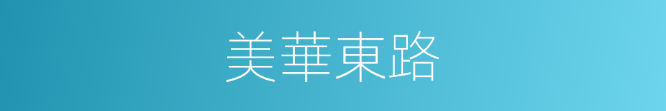 美華東路的同義詞