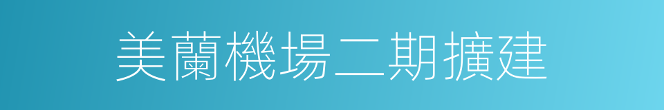 美蘭機場二期擴建的同義詞