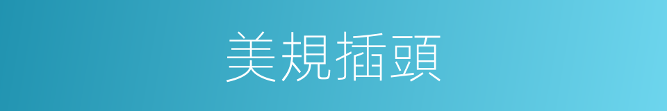 美規插頭的同義詞