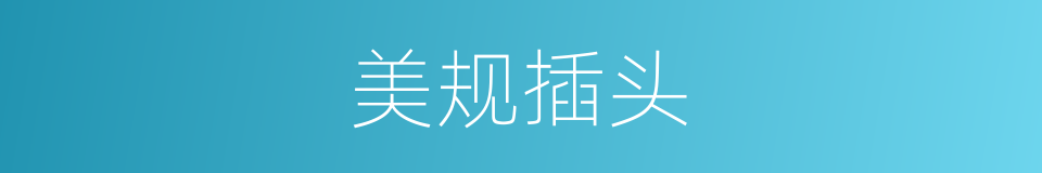 美规插头的同义词