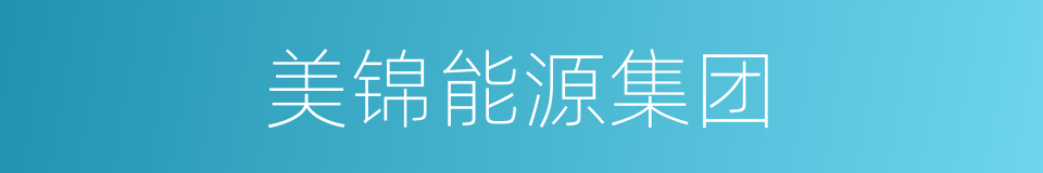 美锦能源集团的同义词