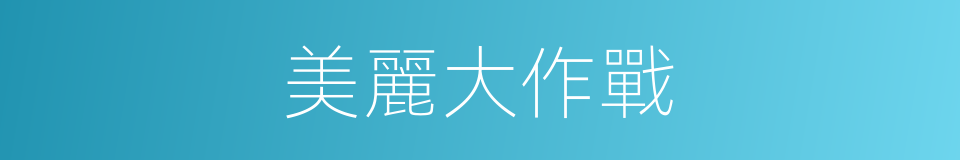 美麗大作戰的同義詞