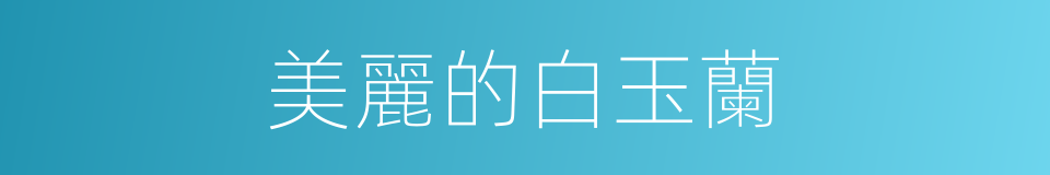 美麗的白玉蘭的同義詞