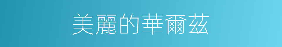 美麗的華爾茲的同義詞