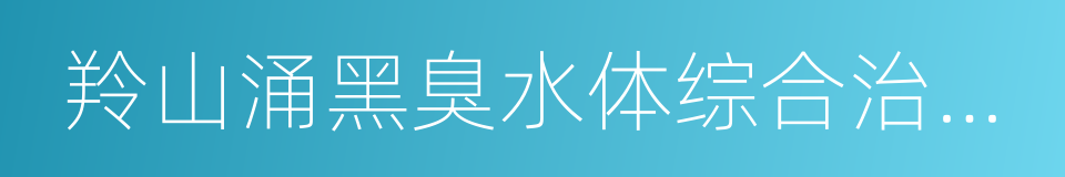 羚山涌黑臭水体综合治理工作方案的同义词