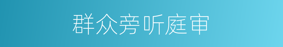 群众旁听庭审的同义词