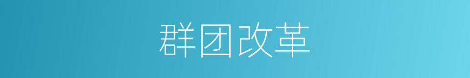 群团改革的同义词