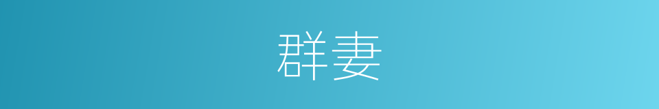 群妻的同义词