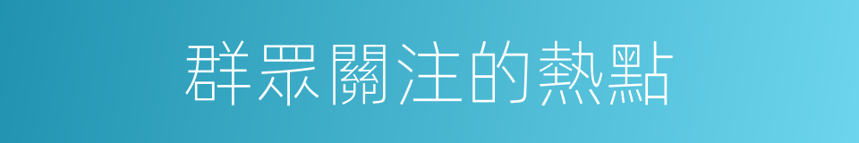 群眾關注的熱點的同義詞